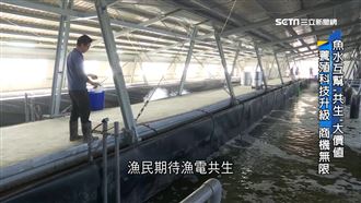 漁青返鄉　看好未來「漁電共生」趨勢