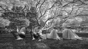 梅根懷孕（圖／翻攝自Misan Harriman推特）