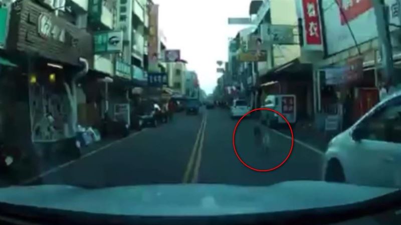 輾狗男行車畫面曝　車身震動竟突消音