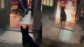 圖／翻攝自爆廢公社公開版