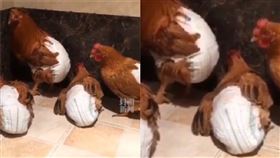 圖／翻攝自封面新聞