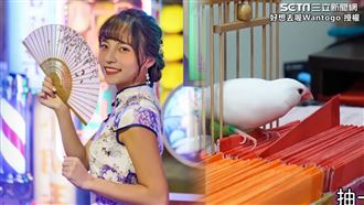 算鳥掛穿旗袍！　正妹強推台復古景點