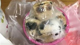 發糕,發霉,過年,習俗(翻攝自 爆怨公社)