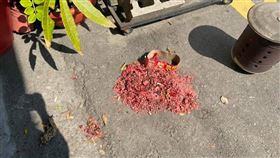 爆怨／開店掃垃圾丟紙箱！下秒不見　過來人氣炸：回收都超沒水準。（圖／翻攝自爆怨公社臉書）