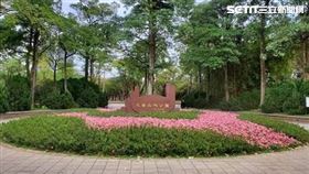 大安森林公園,杜鵑花 北市府提供