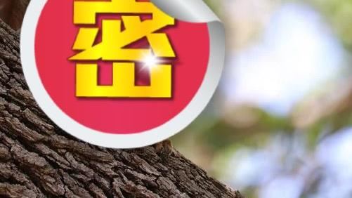 大樹長出腳！他抬頭見3尺巨獸嚇傻