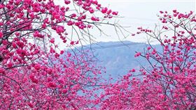 名家專用／台灣旅行趣（勿用）