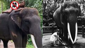 「全裸騎公象片」瘋傳！22歲正妹遭罵嘆：盼看見其中美妙（圖／翻攝自kafelnikova_a IG）