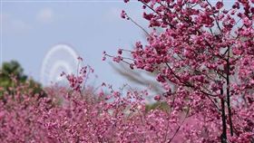 名家專用／台灣旅行趣（勿用）