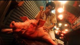 《墮落天使》導演王家衛讚金城武：喜劇節奏佳。（圖／CATCHPLAY提供）