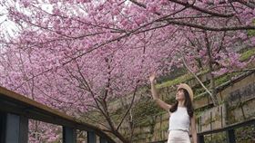 名家專用／台灣旅行趣（勿用）