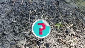 土中發現精美瓷碗！他一看「藍白花紋」　爽喊：這下要發了