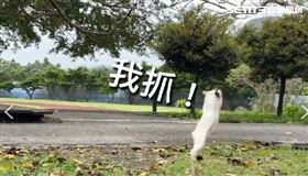 台東蘭嶼椰油國小老師顏子矞,顏子矞授權提供