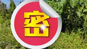 高山氣象站,蜜蜂,蜂巢（圖／翻攝自鄭明典臉書）