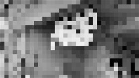 老店,湯圓,台南,剩食(翻攝自 台南大小事)