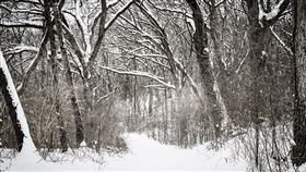 暴風雪（圖／Pixabay）