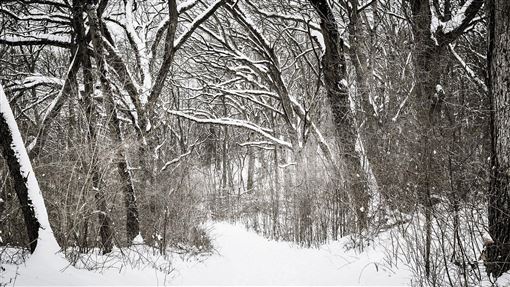 防冷氣團「雲霄飛車式變溫」高山有望降雪