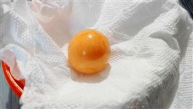 海螺,妻子,美樂珠,龍珠