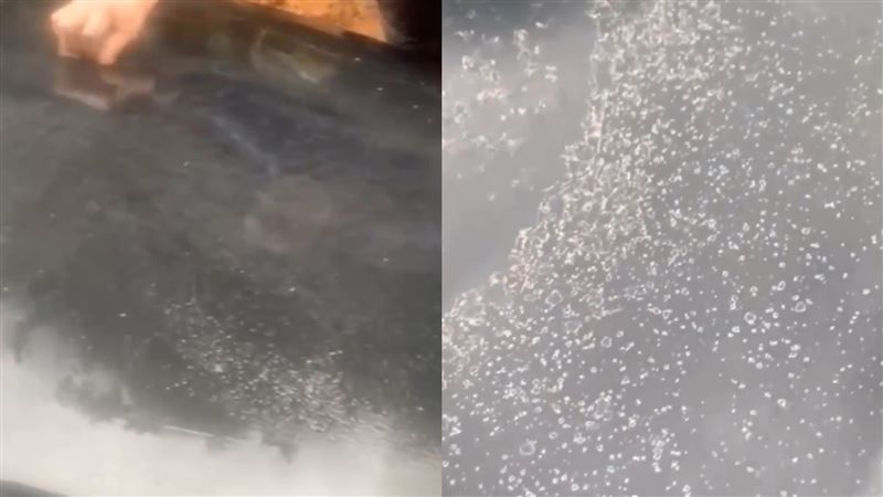 鋼刷猛撸奧迪A6！車主見兇手竟暖哭