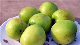 棗子（圖／翻攝自pixabay）