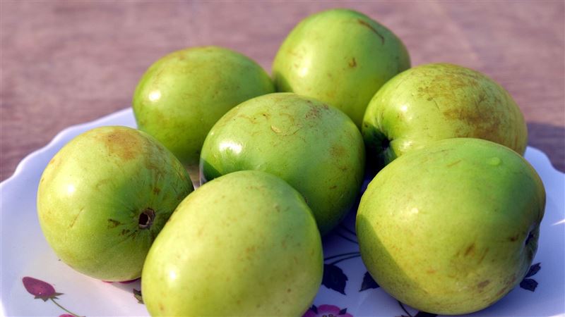 維生素C是蘋果20倍　棗子「1吃法」最護腎