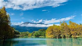 花蓮雲山水有熊的森林，雲山水，翻攝自有熊的森林臉書粉專