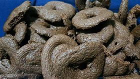 女友,情侶,餅乾,暗黑,爆廢公社,曲奇餅,男友
https://www.facebook.com/photo?fbid=10225067497450896&set=gm.4404515032931739