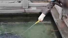 老翁帶著孫女到風景區，不顧其他遊客目光釣取池中硬幣。（圖／翻攝自北京時間）