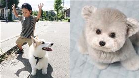 名家專用/ Bazaar（勿用）
