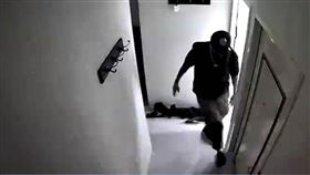 失業酗酒男惡劣虐犬　丟罵狠踹「蛋蛋」、淒厲慘叫（圖／翻攝自新北市府官網）