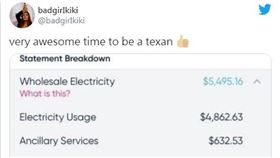 美國德州數以百萬計民眾今天仍無安全的淨水可用，官員們紛紛抱怨嚴寒天氣危機衍生而出的高額電費帳單，部分家戶電費甚至高達1萬6000美元（約新台幣45萬元），堪稱天價。（twitter)