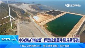 中油建站「無破壞」！經濟部：尊重生態、保留藻礁