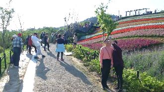 獨／花季抬周邊商機　野菜餐廳業績漲