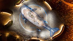 台南安平大魚的祝福　夜間燈光美台南市政府觀光旅遊局於安平漁港安億橋下設置大型環境藝術「大魚的祝福」，由藝術家楊士毅操刀，周邊廣場改善後增加融合作品的夜間照明，視覺效果更佳。（台南市觀光旅遊局提供）中央社記者楊思瑞台南傳真　110年2月22日