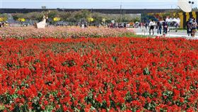 二二八連假　公路總局公告屏東疏運交通熱點二二八連假即將到來，公路總局23日公告屏東實施交通疏運的熱點道路，包括大型活動屏東熱帶農業博覽會（圖）及綵燈節周邊道路。中央社記者郭芷瑄攝　110年2月23日