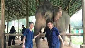 清邁秘境／在叢林裡的大象天堂