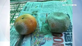 文 寄年貨發霉1200