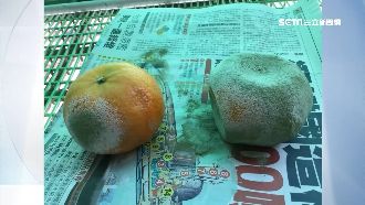 宅配水果7天才到　買家收發霉橘氣炸