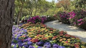 名家專用／台灣旅行趣（勿用）