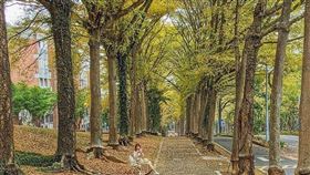 名家專用／台灣旅行趣（勿用）