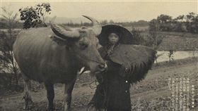 國家圖書館＋ 台灣記憶提供 蒼壁出版社提供 ＋ 翻攝自開放博物館