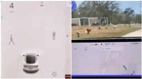 大白天撞鬼？特斯拉行經無人墓地　車主驚見「有人在散步」（圖／翻攝自搜狐號「環球tech」）
