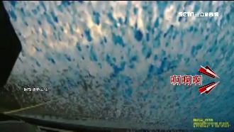 貨車惡意逼車還潑漆　網友起底是累犯