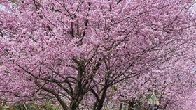 名家專用／台灣旅行趣（勿用）