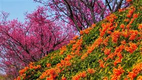 名家專用／台灣旅行趣（勿用）