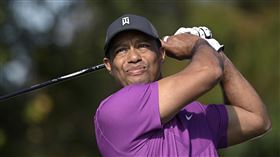 高爾夫球名將老虎伍茲（Tiger Woods）。（圖／美聯社／達志影像）