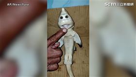 （圖／AP授權）