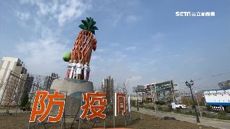 防疫花燈是鳳梨網嚇壞！醫勸別想太多