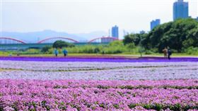 名家專用／台灣旅行趣（勿用）