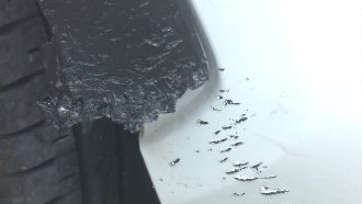 野狗深夜狂啃休旅車　維修費破6萬